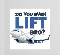 Do You Lift Bro? Decal Stickers